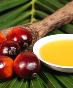 Palm Oil